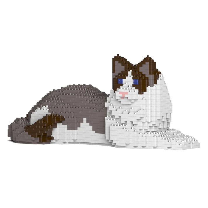 Ragdoll-Katze 03S-M01 