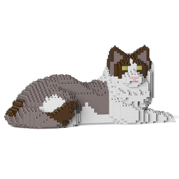 Ragdoll-Katze 03S-M01 