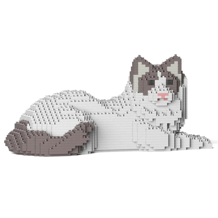 Gato Ragdoll 03S-M02 