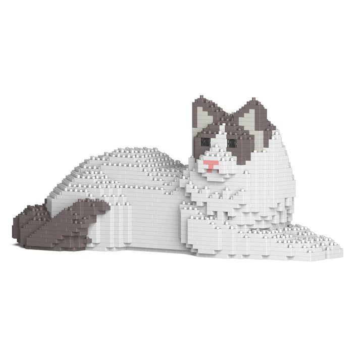 Ragdoll-Katze 03S-M02 