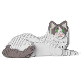 Ragdoll Cat 03S-M02