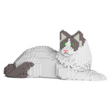 Ragdoll-Katze 03S-M02 