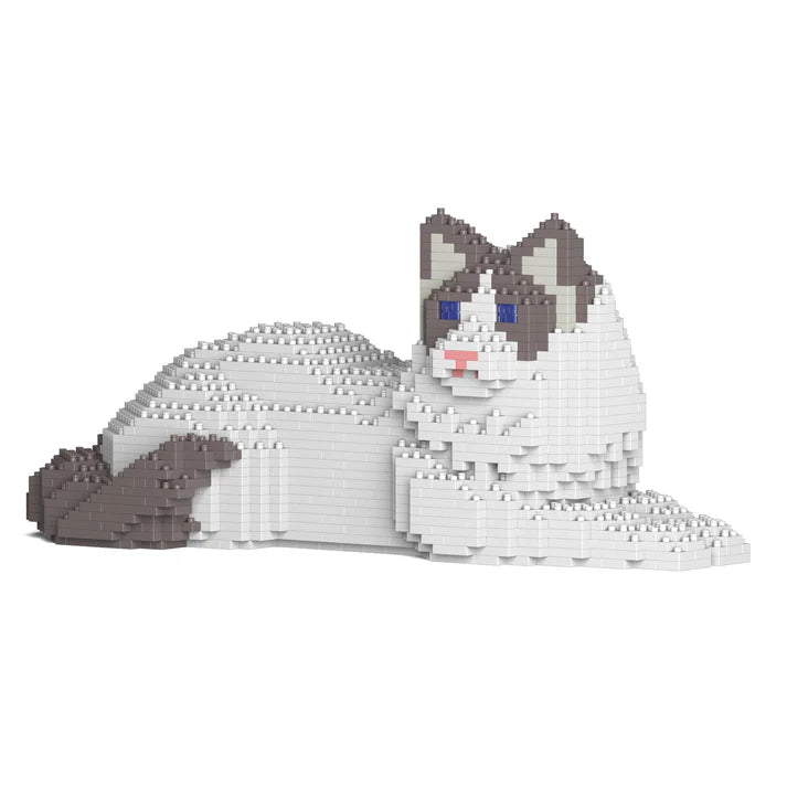 Ragdoll Cat 03S-M02