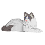 Ragdoll Cat 03S-M02