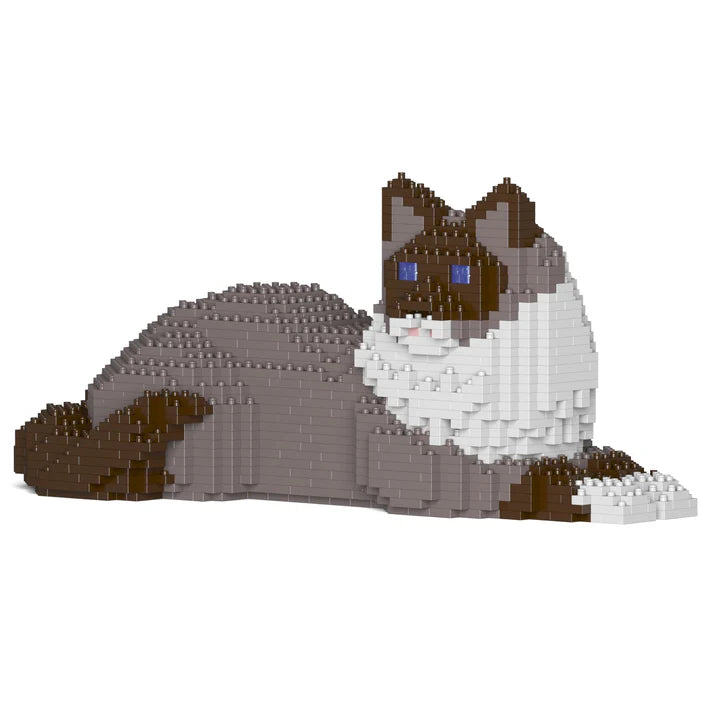 Gato Ragdoll 03S-M03 