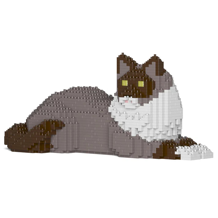 Ragdoll-Katze 03S-M03 