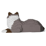 Gato Ragdoll 03S-M03 