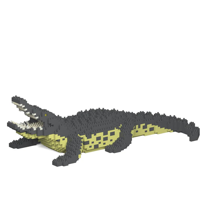 Crocodile 01