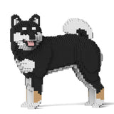 Shiba Inu 02-M01 