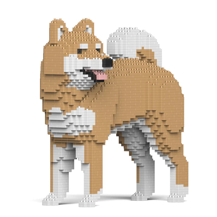 Shiba Inu 02-M02