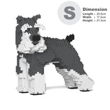 Schnauzer estándar 02-M01 