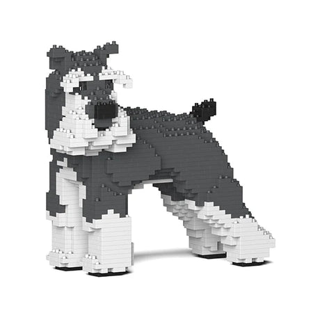 Standard Schnauzer 02-M01