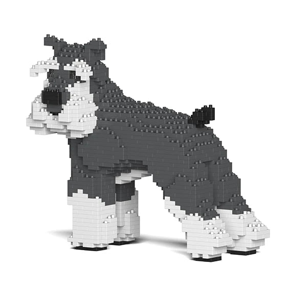 Standardschnauzer 02-M01 