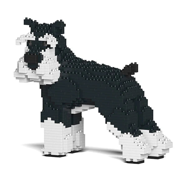 Standardschnauzer 02-M02 