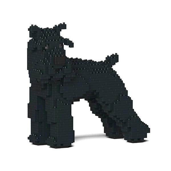 Schnauzer estándar 02-M03 