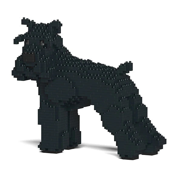 Standardschnauzer 02-M03 