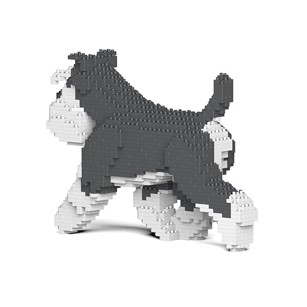 Schnauzer estándar 03-M01 