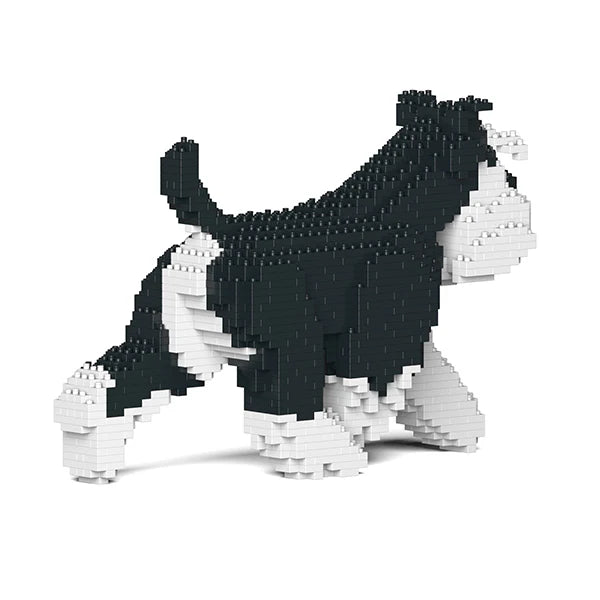 Standardschnauzer 03-M02 