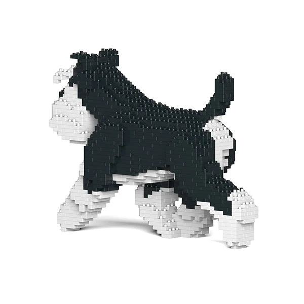 Standardschnauzer 03-M02 