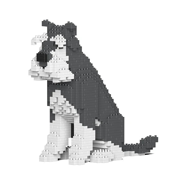 Standardschnauzer 04-M01 