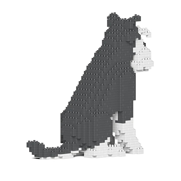 Standardschnauzer 04-M01 