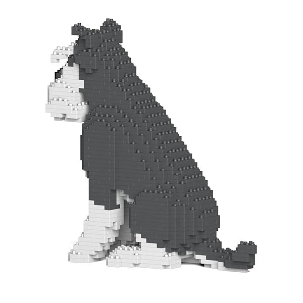 Standardschnauzer 04-M01 