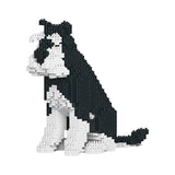 Schnauzer estándar 04-M02 