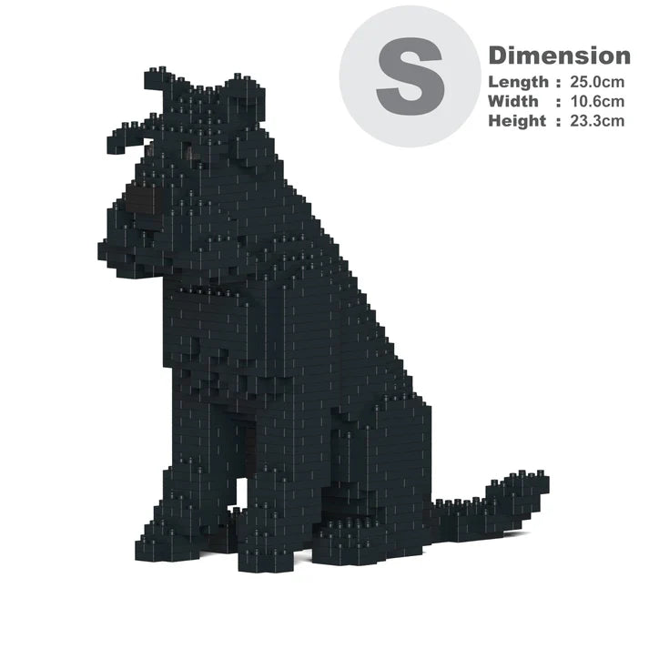 Standardschnauzer 04-M03 