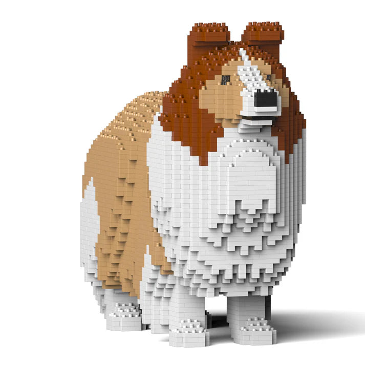 Shetland Sheepdog 02-M01