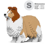 Shetland Sheepdog 02-M01 