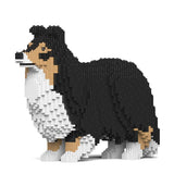 Shetland Sheepdog 02-M02 