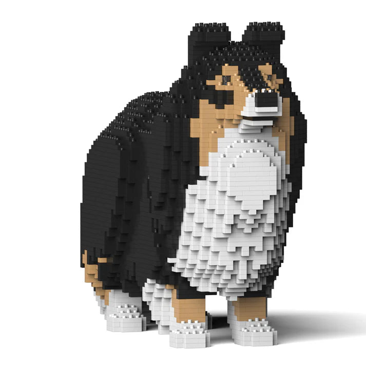 Shetland Sheepdog 02-M02 