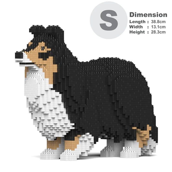 Shetland Sheepdog 02-M02 