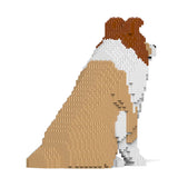 Shetland Sheepdog 03-M01 