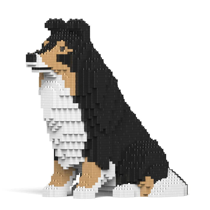 Shetland Sheepdog 03-M02 