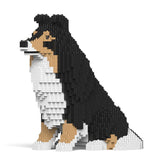 Shetland Sheepdog 03-M02