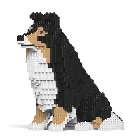 Shetland Sheepdog 03-M02