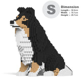 Shetland Sheepdog 03-M02 