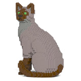 Tonkanesenkatze 01S-M01 