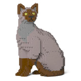 Tonkanesenkatze 01S-M01 