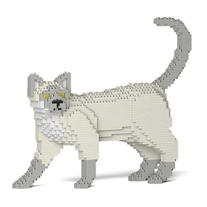 Tonkanesenkatze 02S-M02 