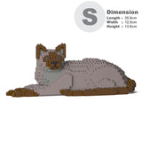 Tonkinese Cat 03S-M01