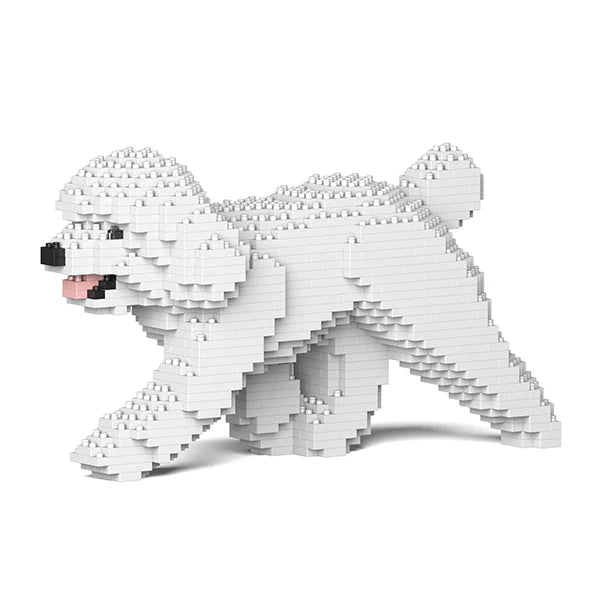 Caniche toy 02-M01 