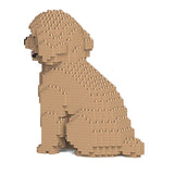 Toy Poodle 03-M03