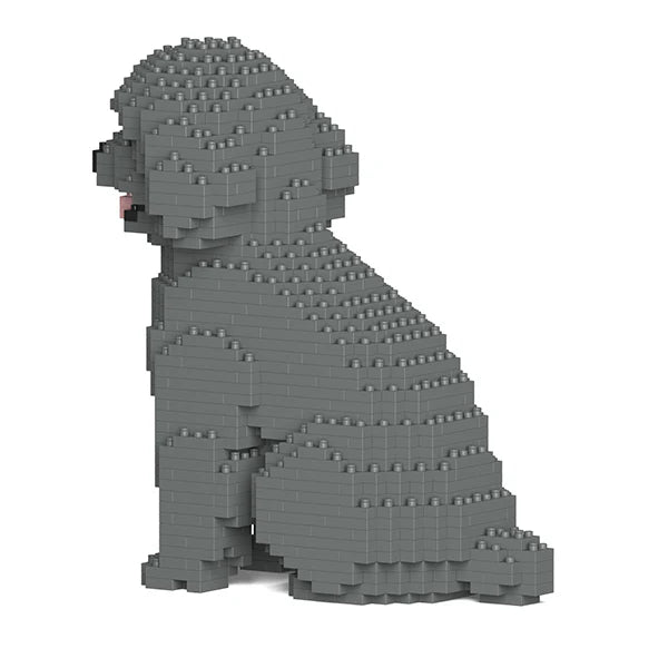 Toy Poodle 03-M06