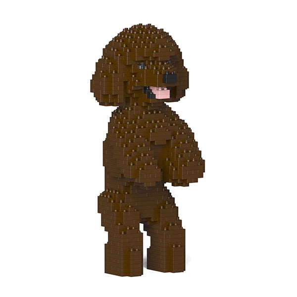 Toy Poodle 04-M05