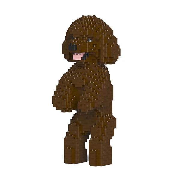 Toy Poodle 04-M05