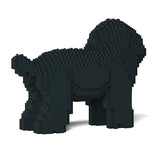 Caniche toy 05-M02 