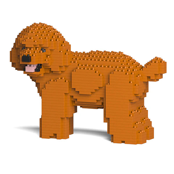 Toy Poodle 05-M04