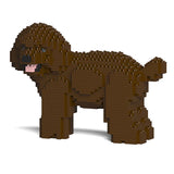 Toy Poodle 05-M05